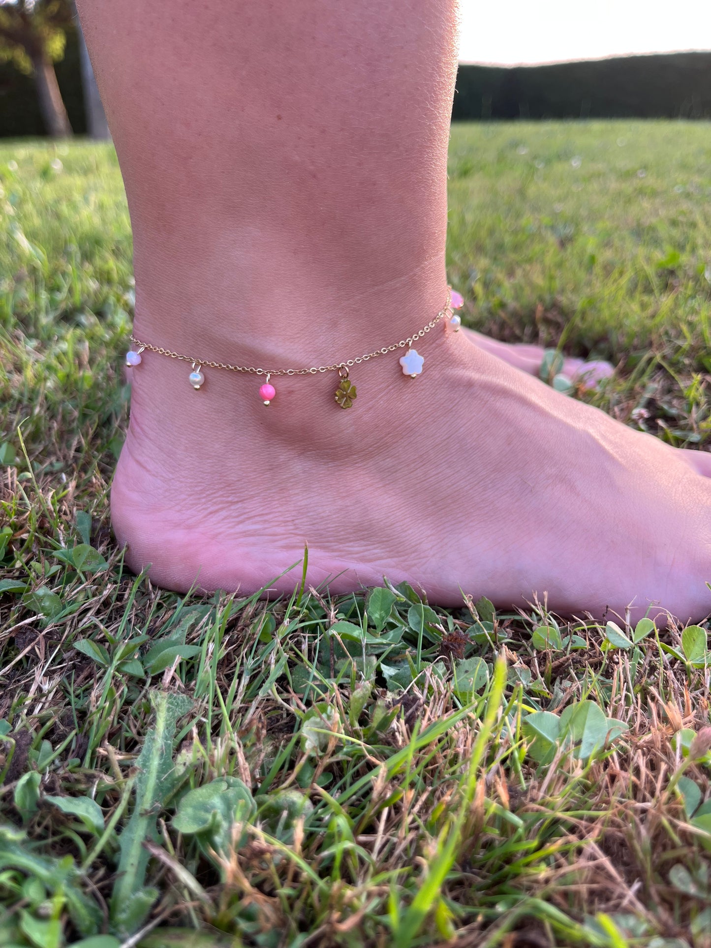 Chaîne Cheville Rosa