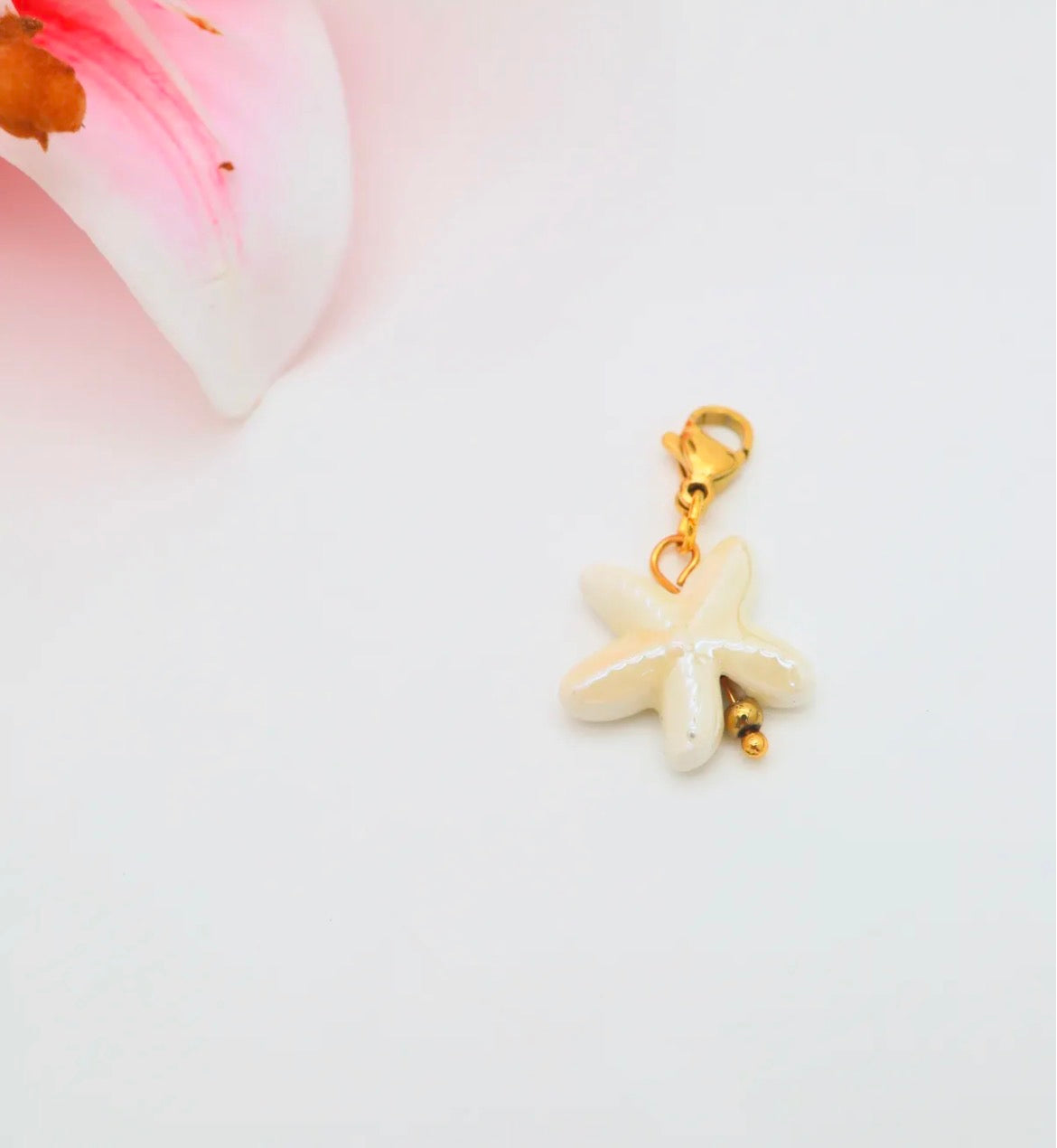 Charms Signature