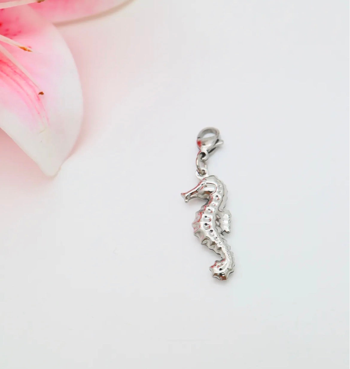 Charms Signature