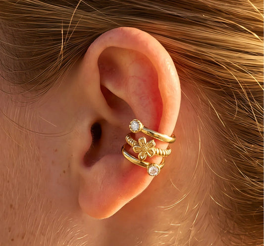Bague d’Oreilles 4