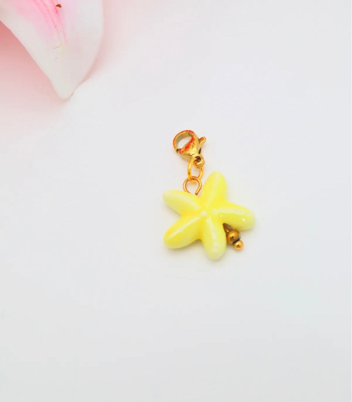 Charms Signature